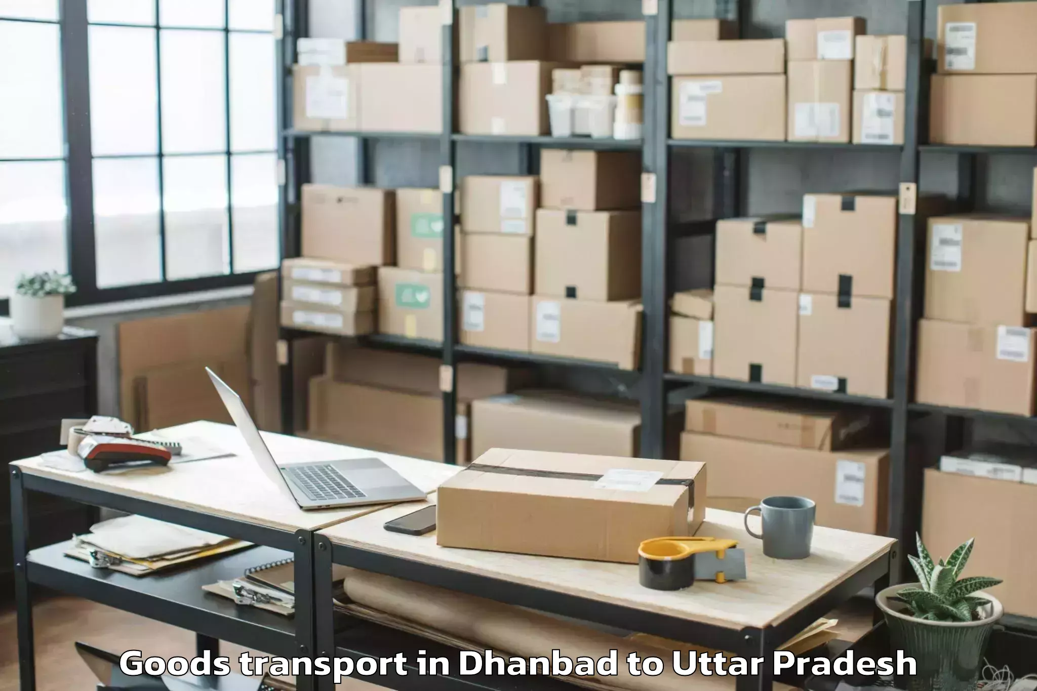 Quality Dhanbad to Kanpur Airport Knu Goods Transport